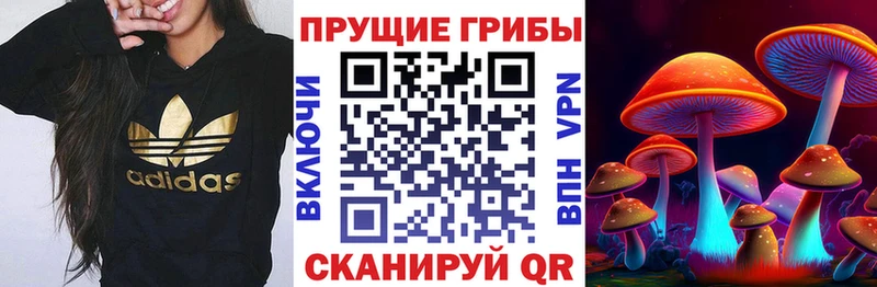 Галлюциногенные грибы ЛСД  даркнет состав  Вязники 
