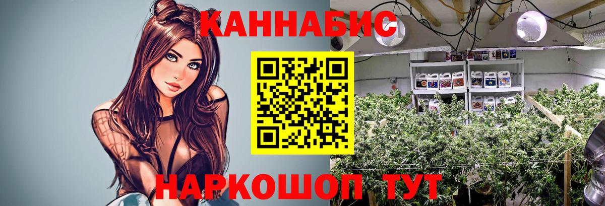 Марихуана ГИДРОПОН  МАРИХУАНА планчик  Бошки марихуана MAZAR  Вязники  Вход с VPN  Шишки марихуана Bruce Banner 